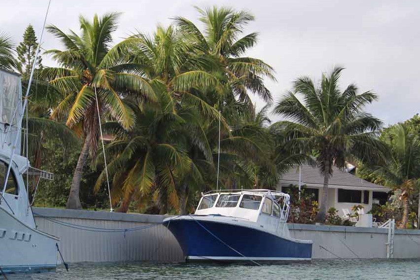 Bahamas seawall Truline system